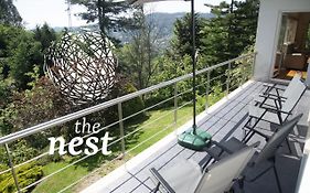 The Nest ~ Your Best Rest