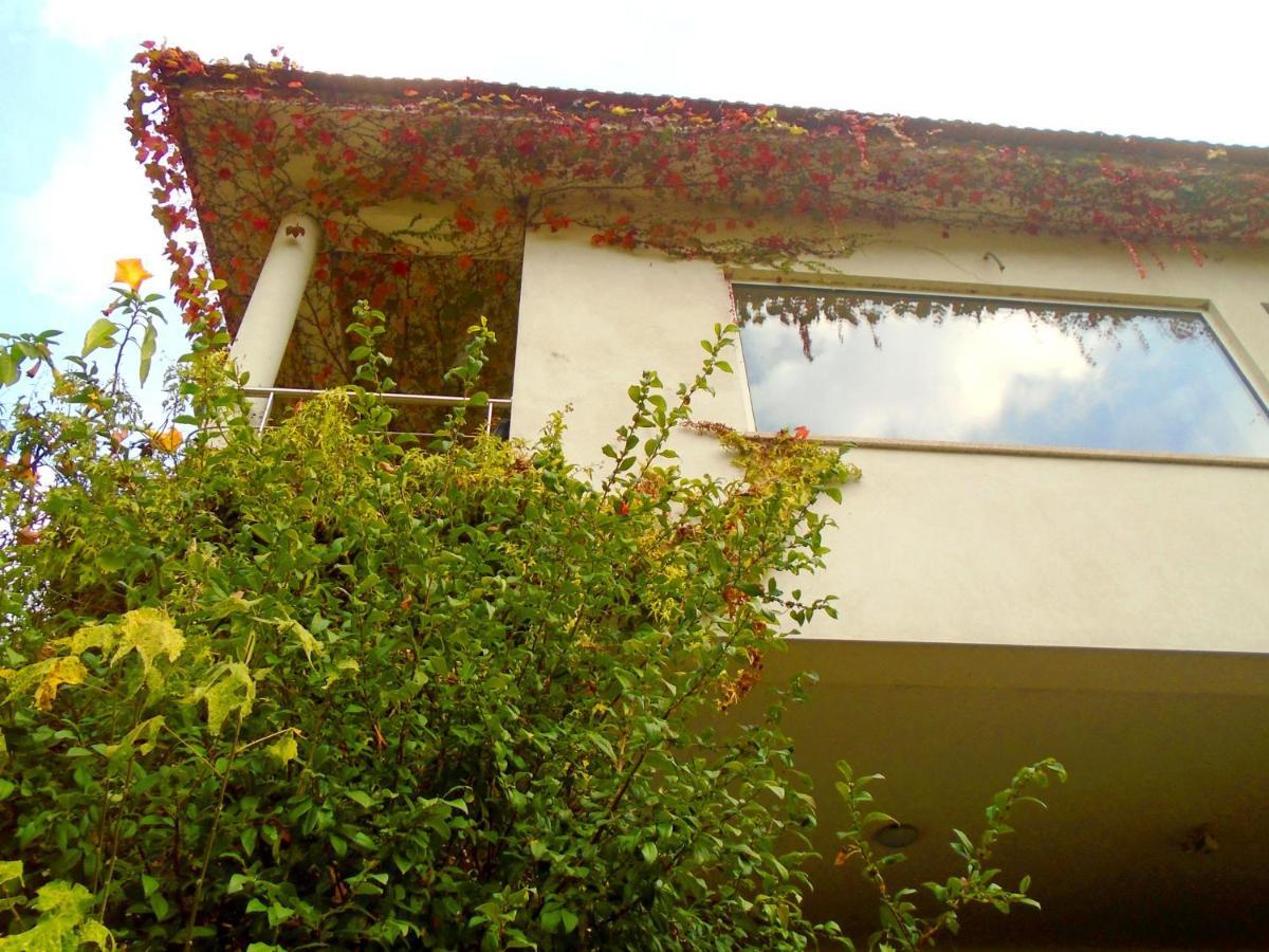 The Nest ~ Your Best Rest Sever do Vouga Exterior foto