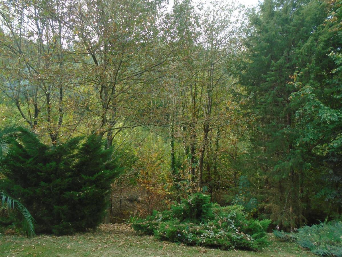 The Nest ~ Your Best Rest Sever do Vouga Exterior foto